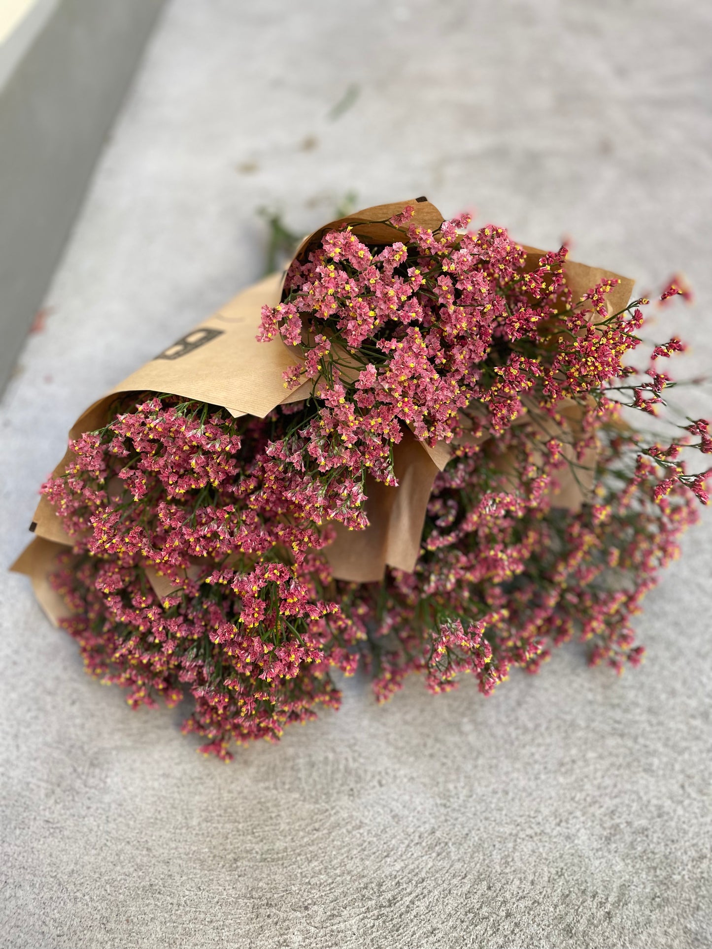 Limonium