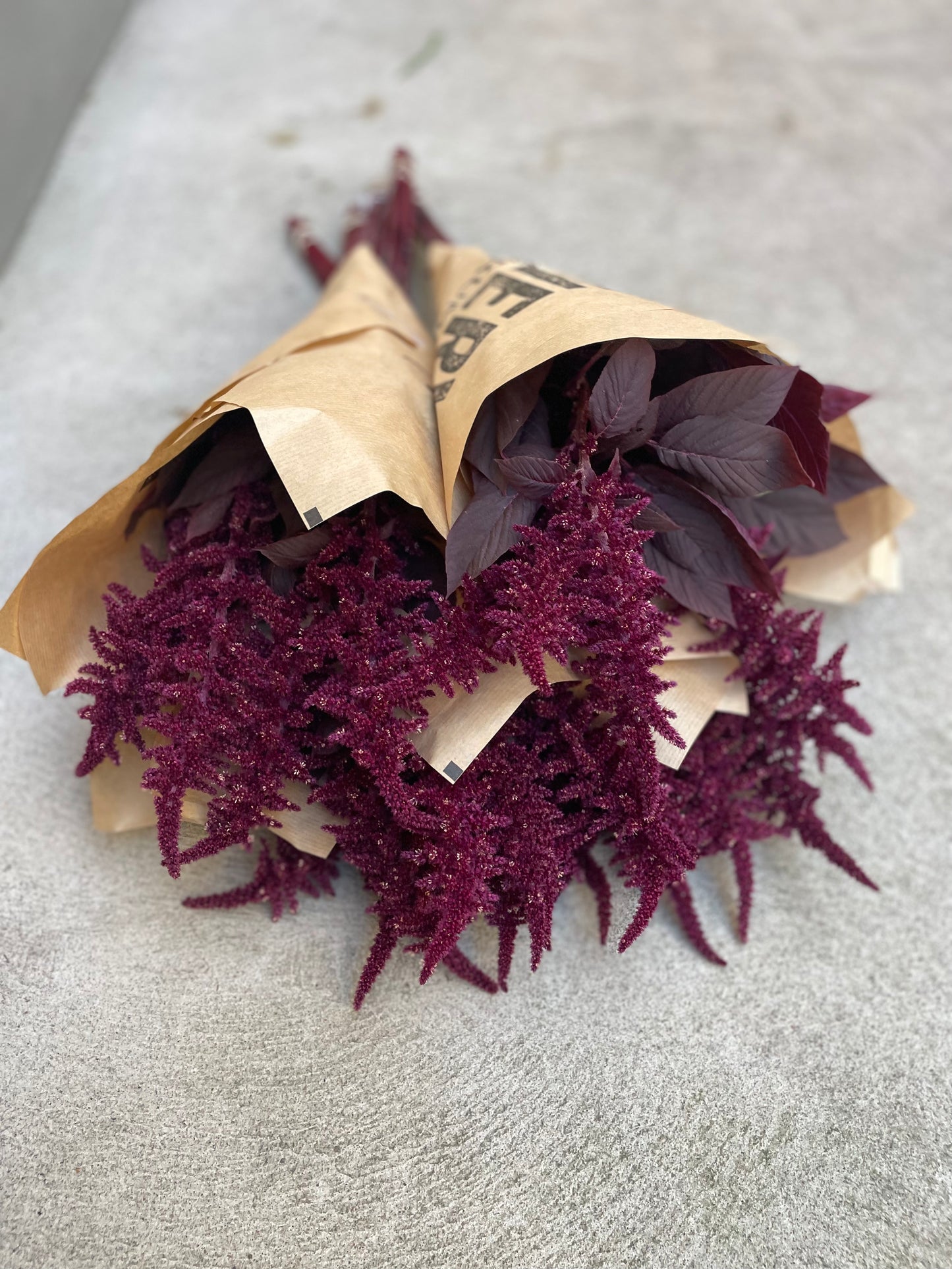 Amaranthus