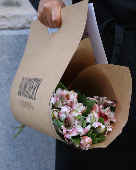 Alstromeria-Alstromeria