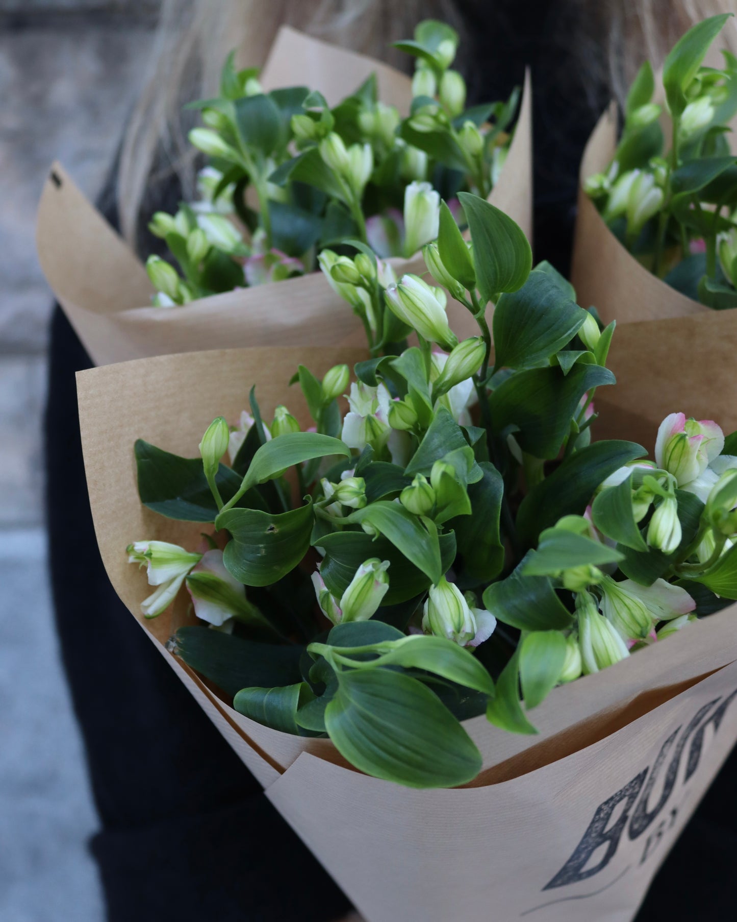 Alstromeria-Alstromeria