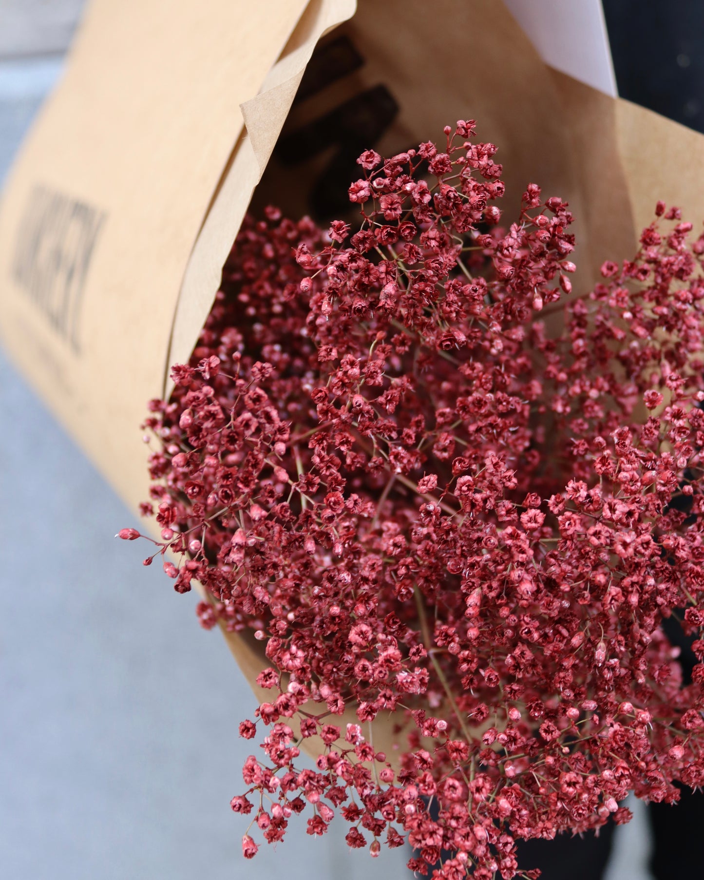 Brudslöja  - Gypsophila