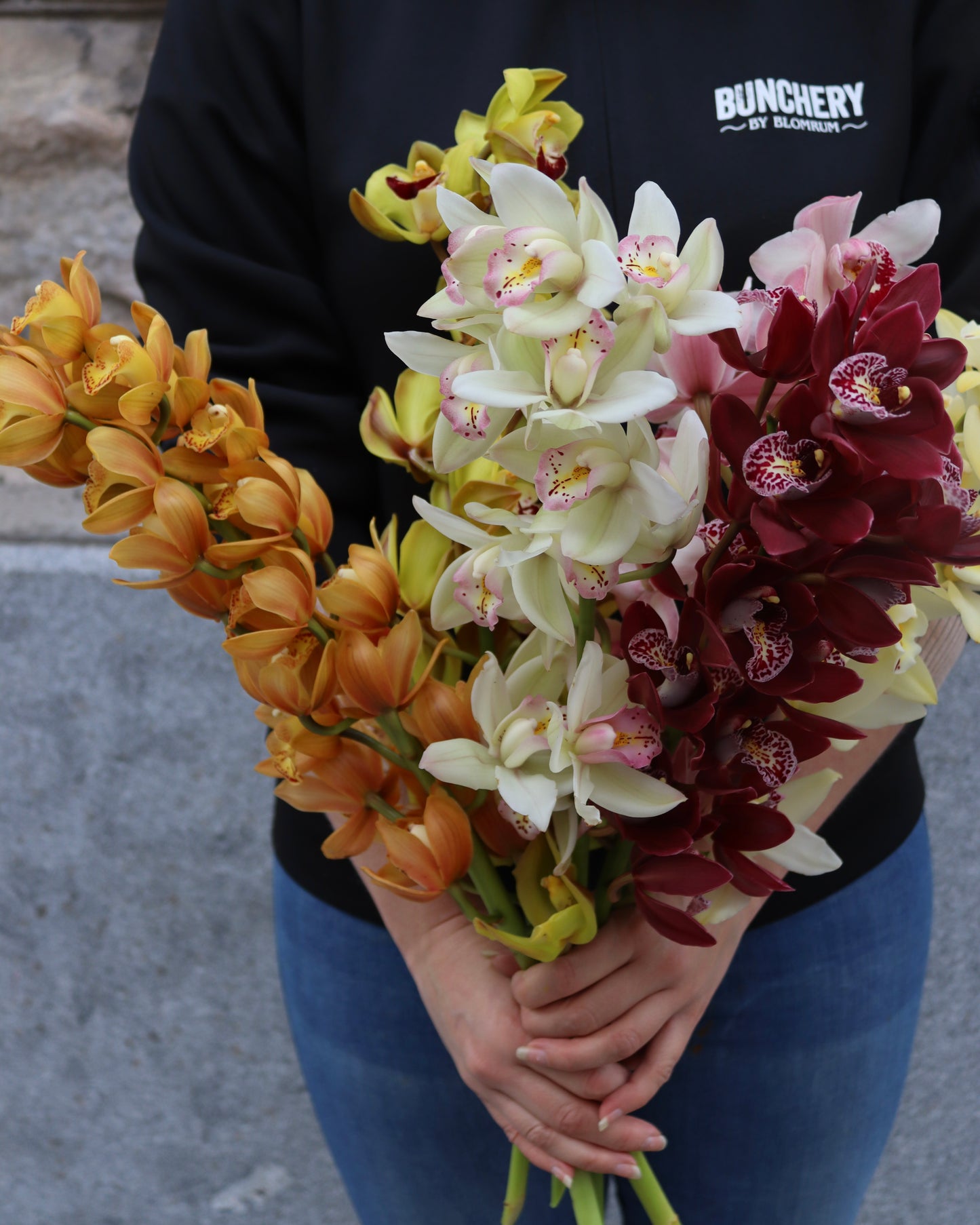 Cymbidium