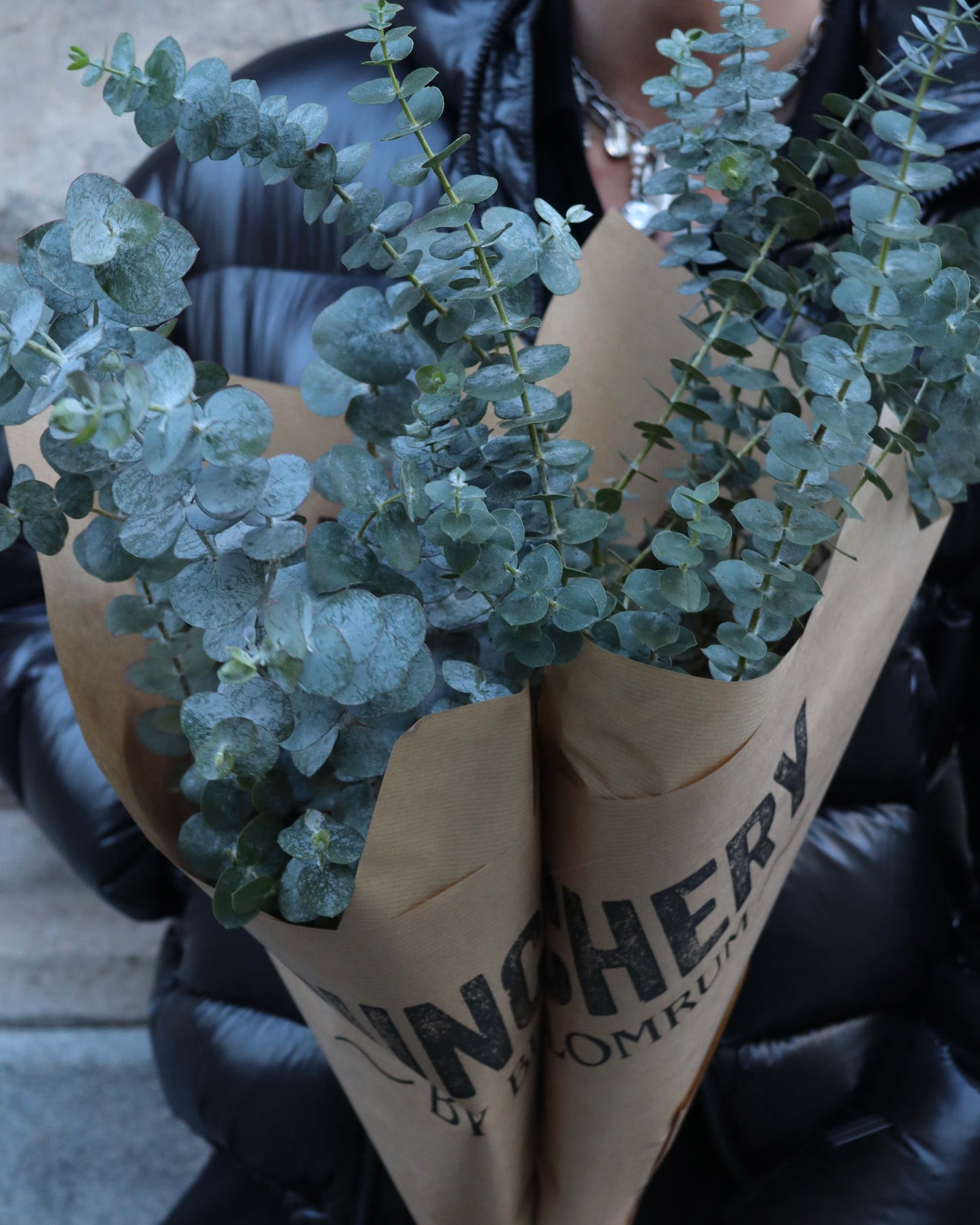 Eucalyptus - Baby Blue