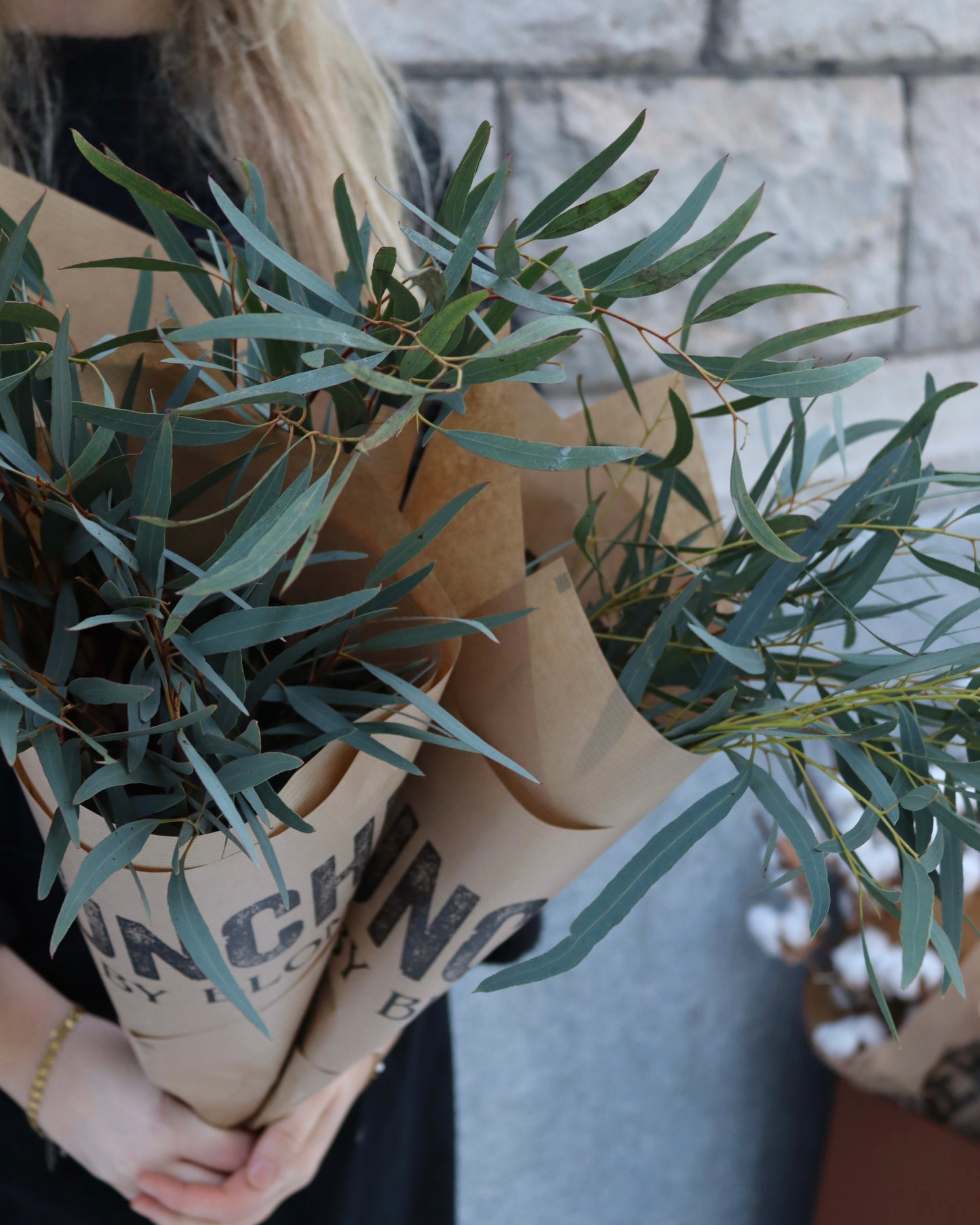 Eucalyptus - Nicholii