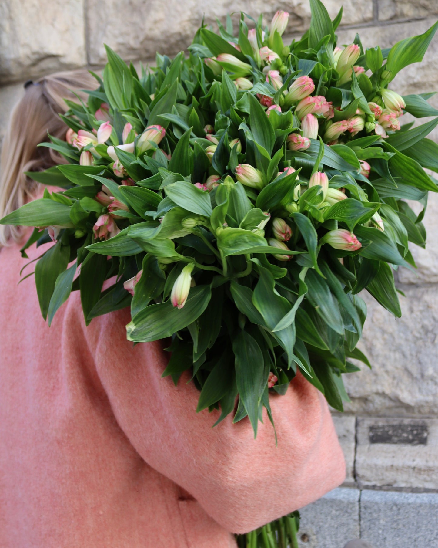 Alstromeria-Alstromeria