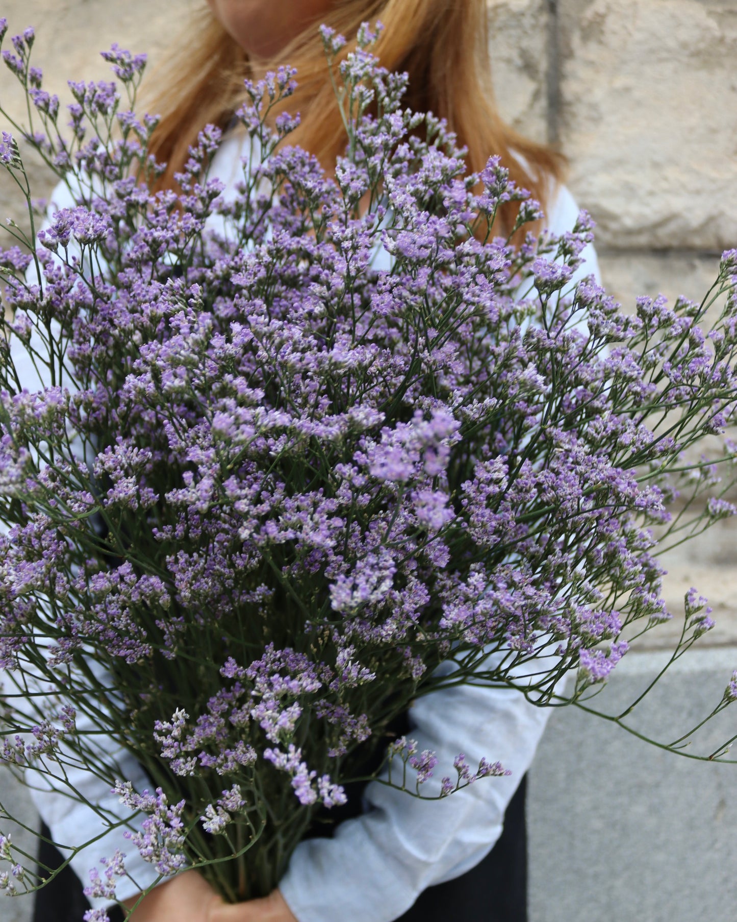 Limonium