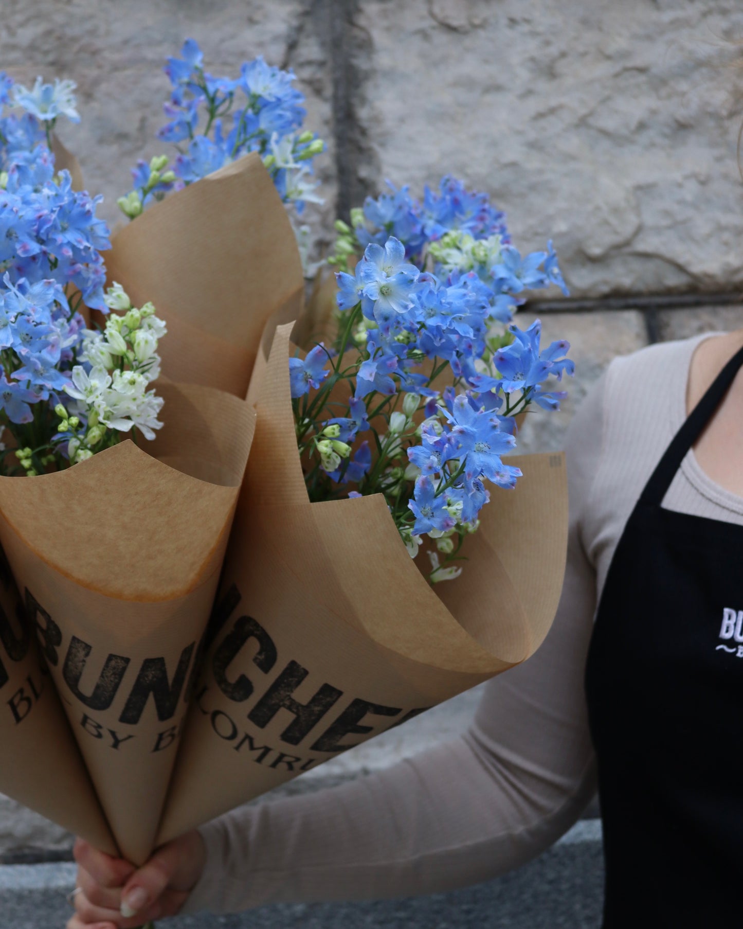 Riddarsporre - Delphinium