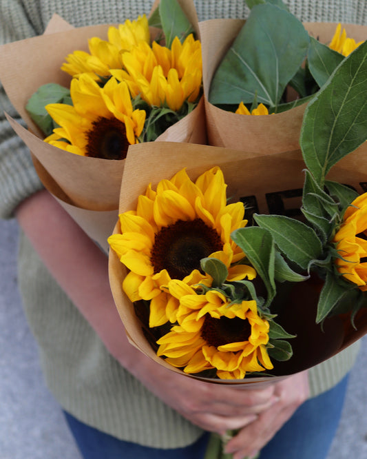A bag of sunshine