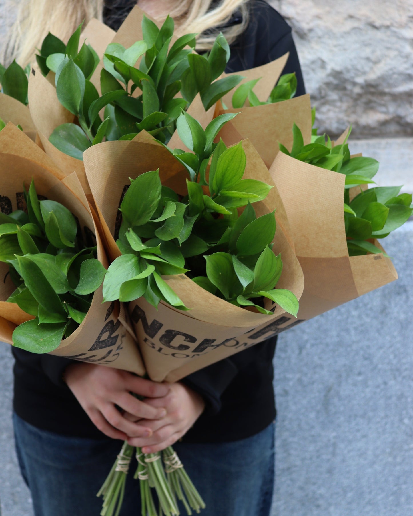 Ruskus - Ruscus