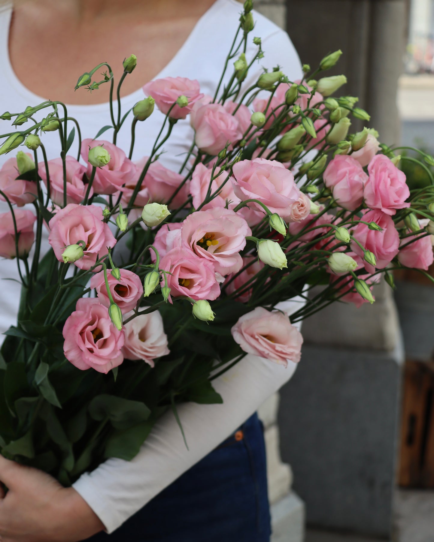 Prärieklocka - Lisianthus
