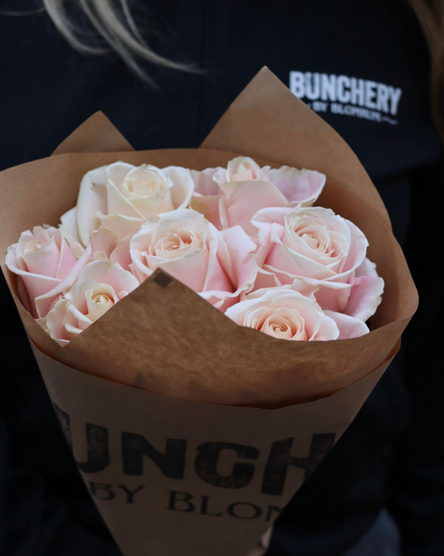 Pre-order Rosa rosor 7p