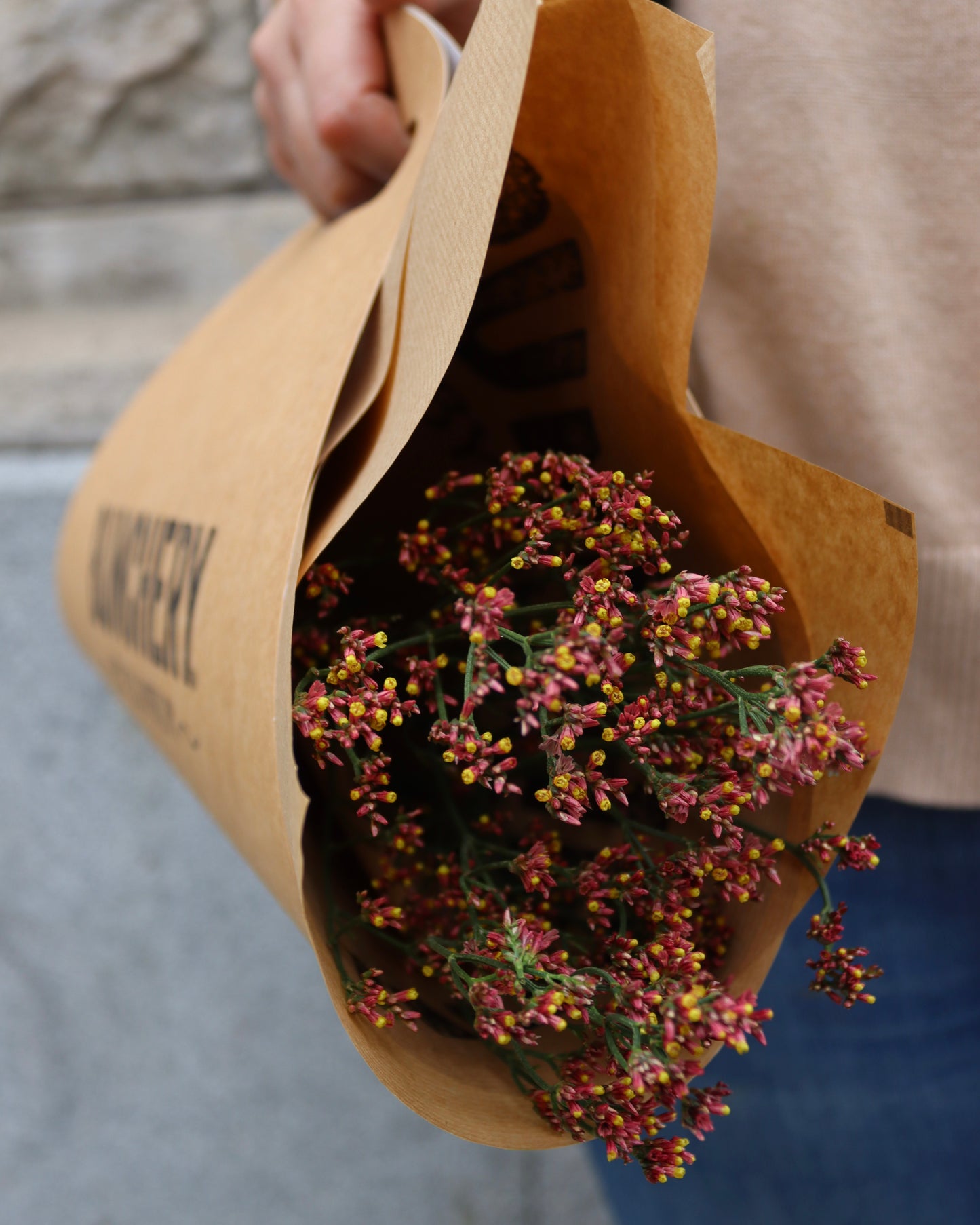 Limonium