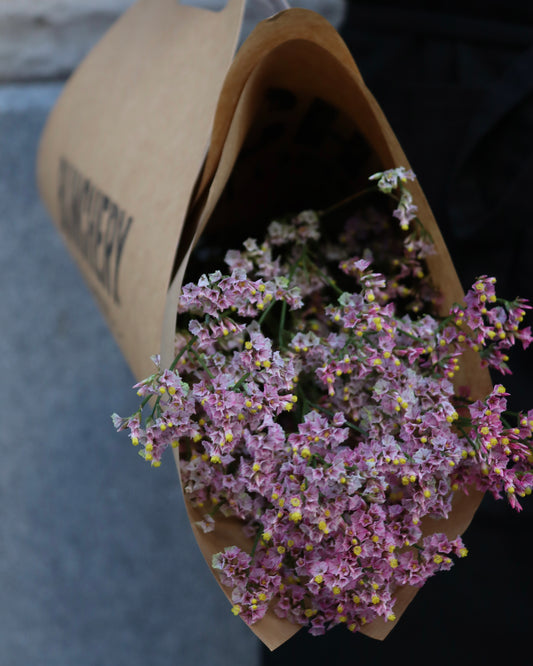 Limonium