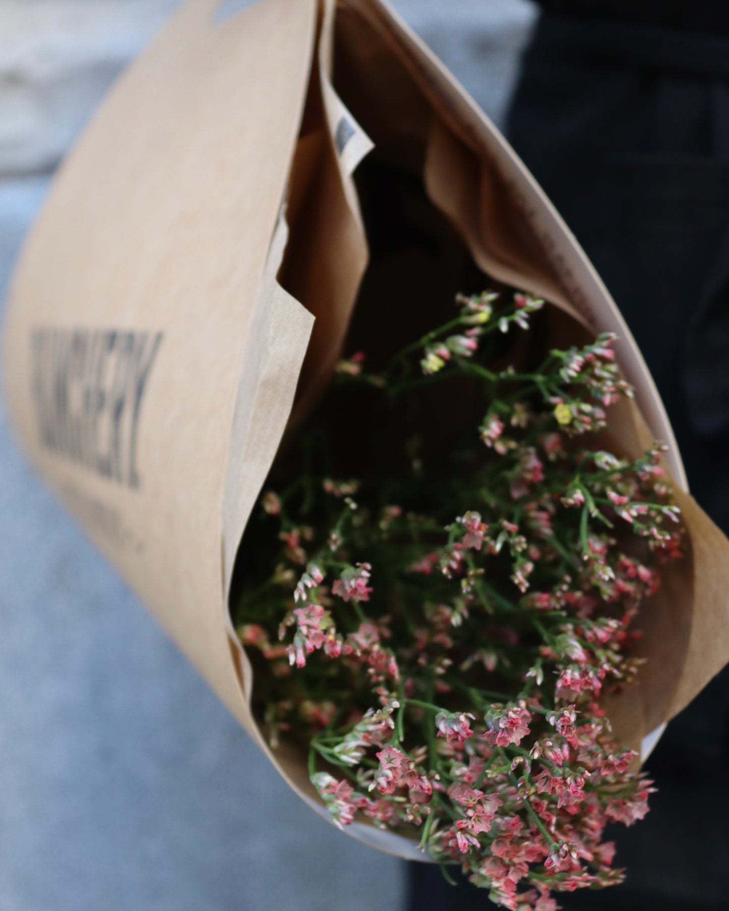Limonium