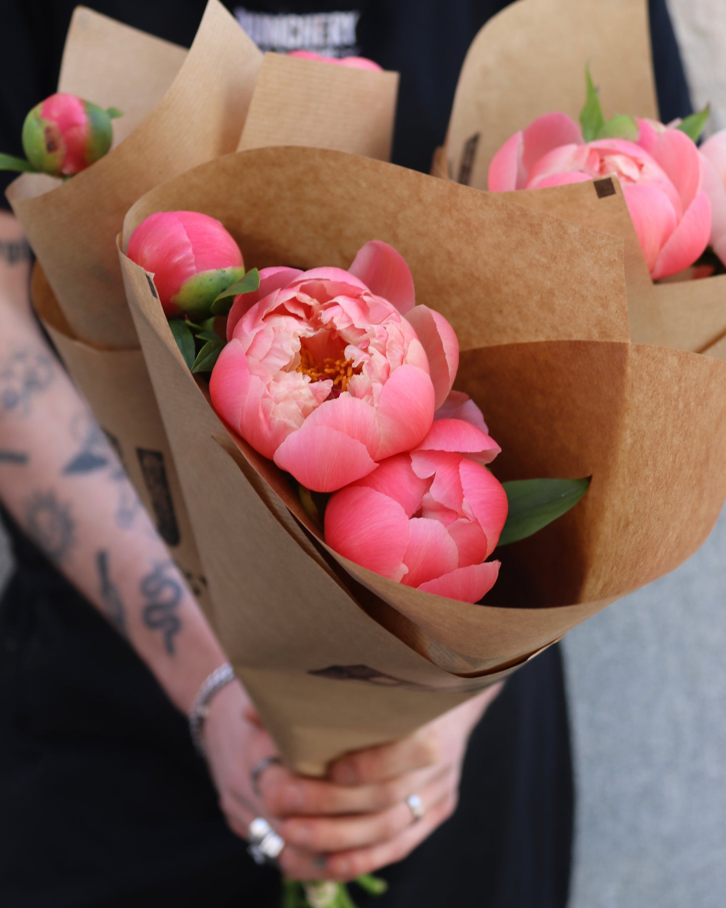 Pion - Paeonia