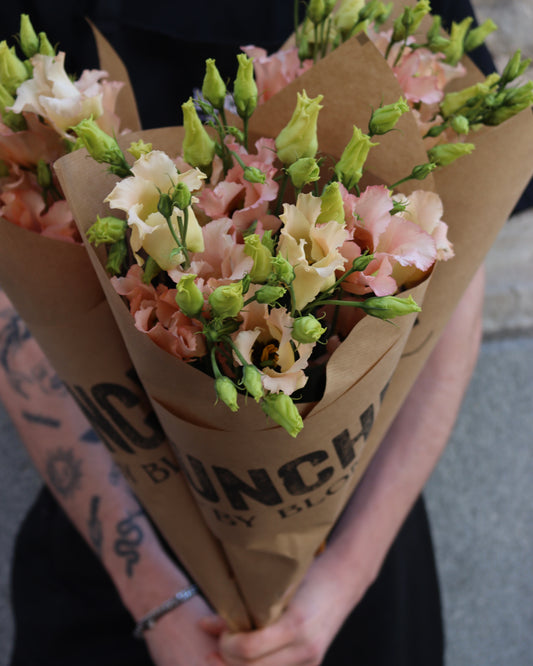 Prärieklocka - Lisianthus