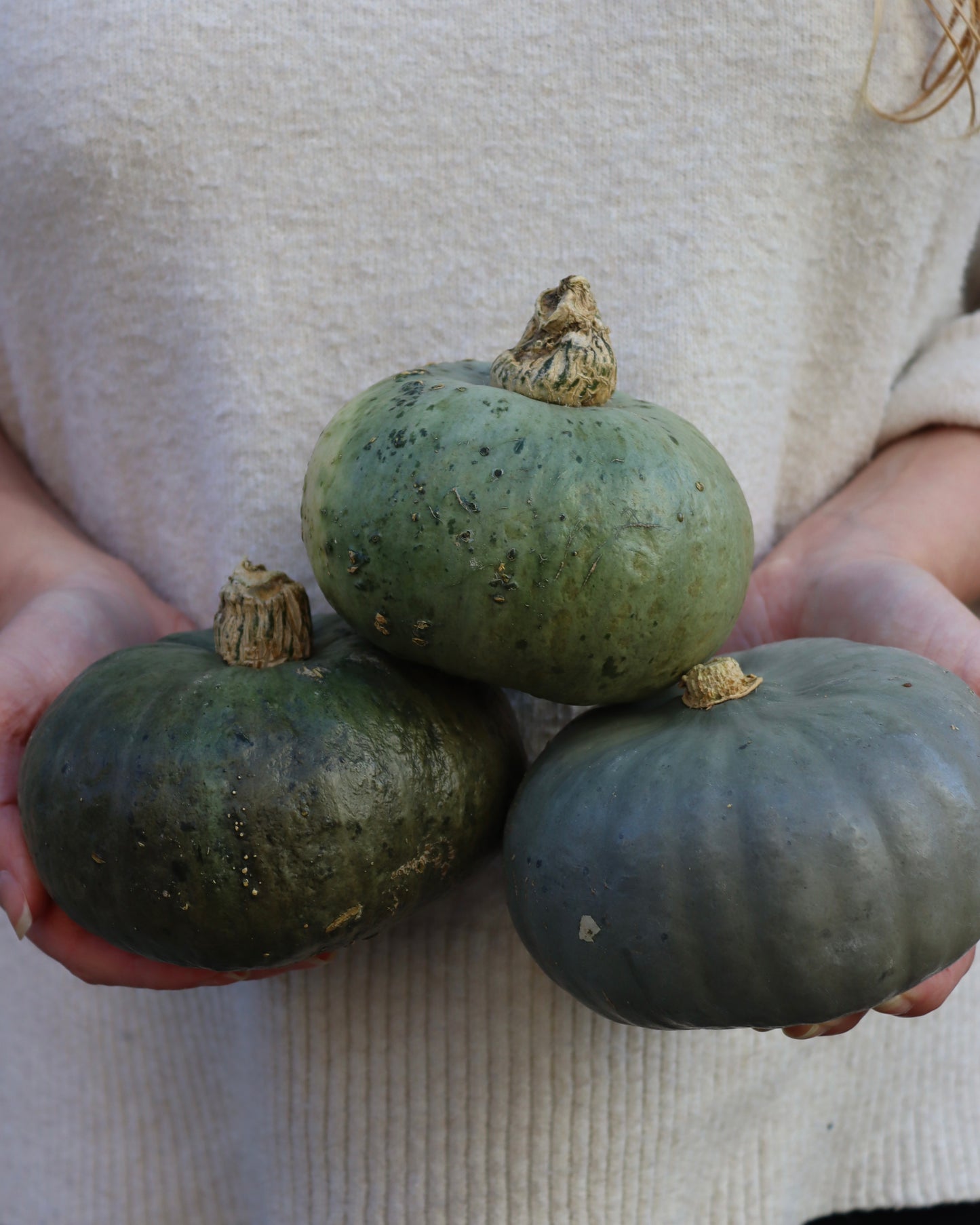 Pumpa