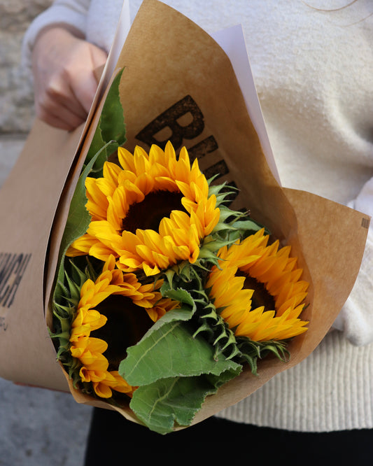 A bag of sunshine