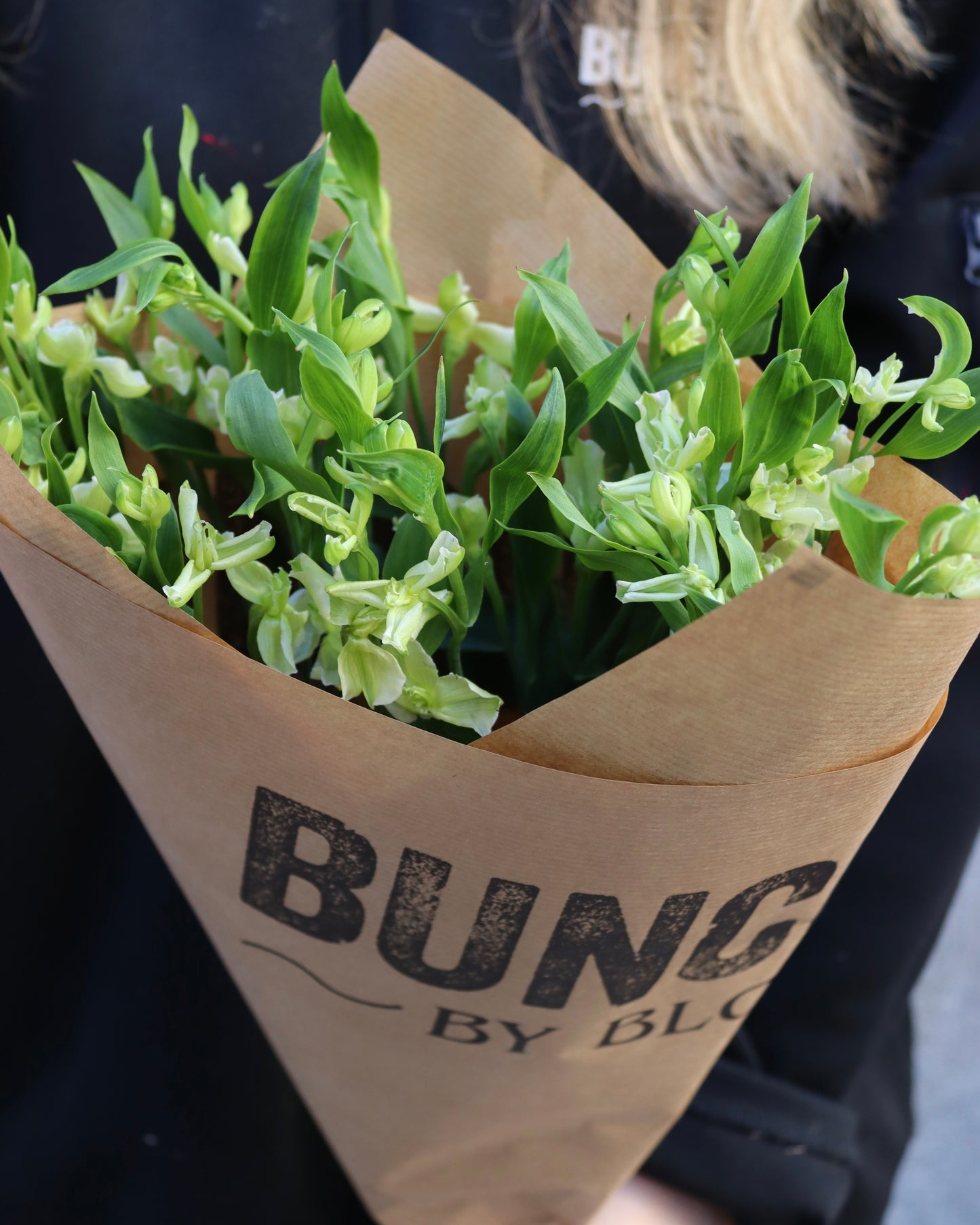 Alstromeria-Alstroemeria