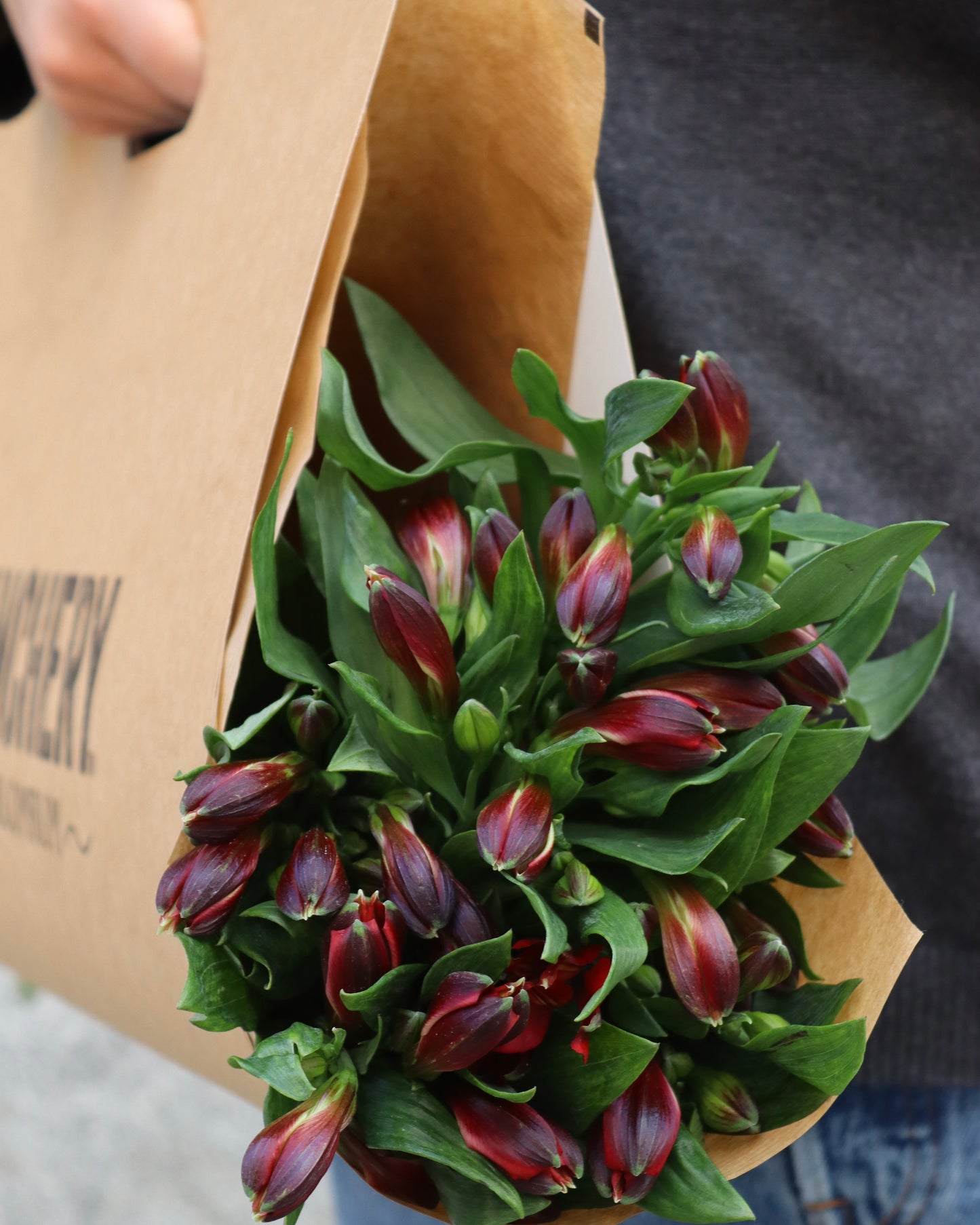 Alstromeria-Alstroemeria