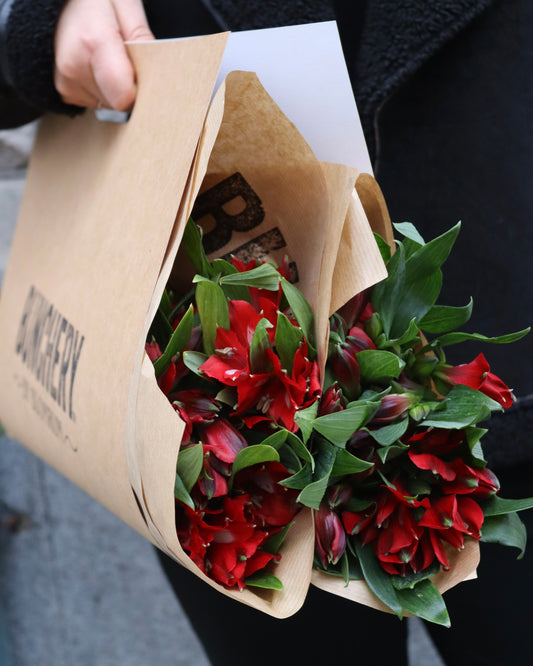 Alstromeria-Alstroemeria