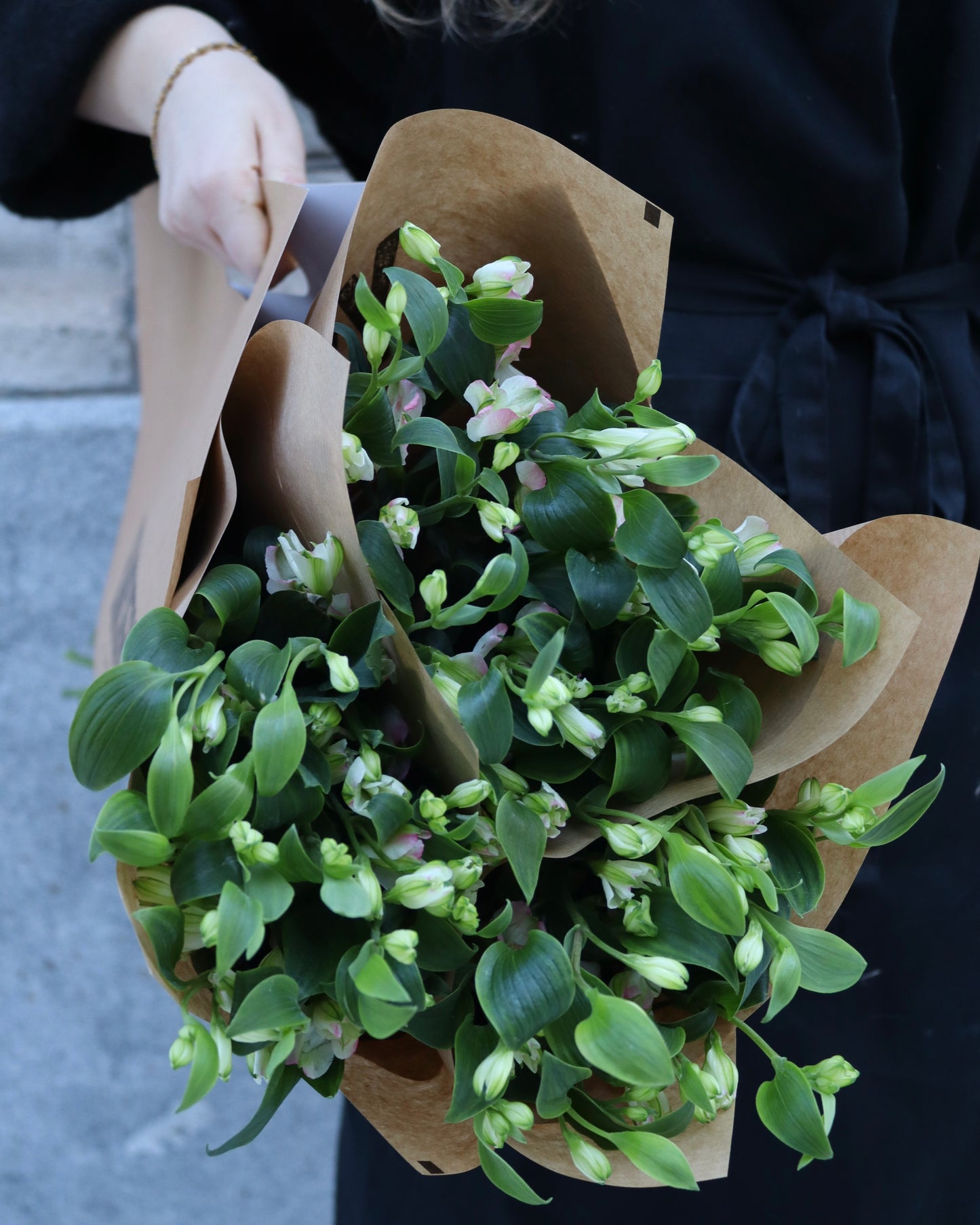 Alstromeria-Alstromeria