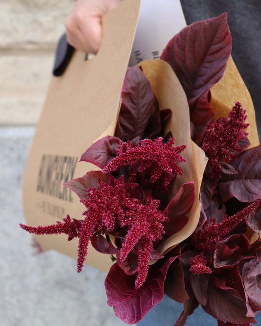 Amaranthus