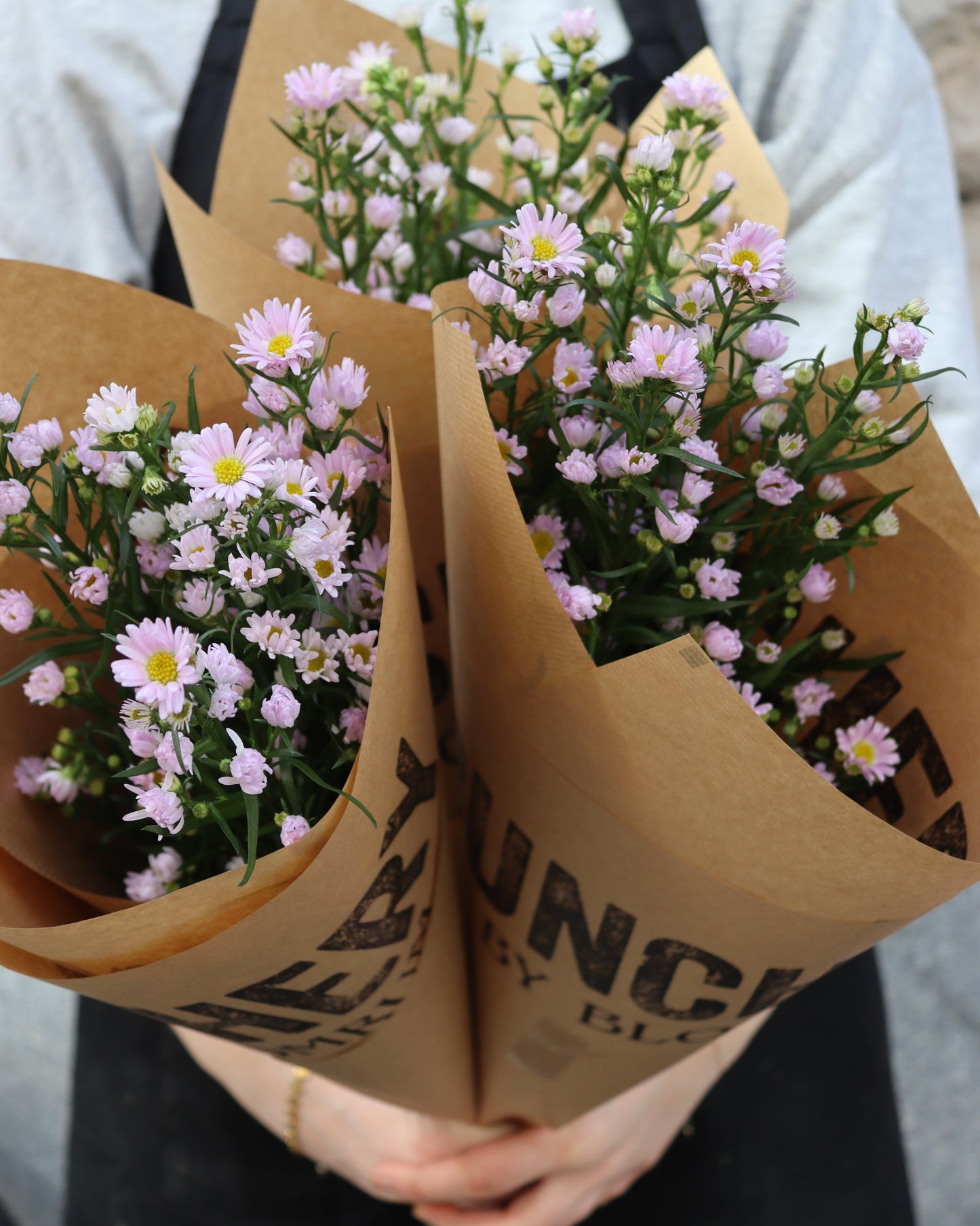 Aster