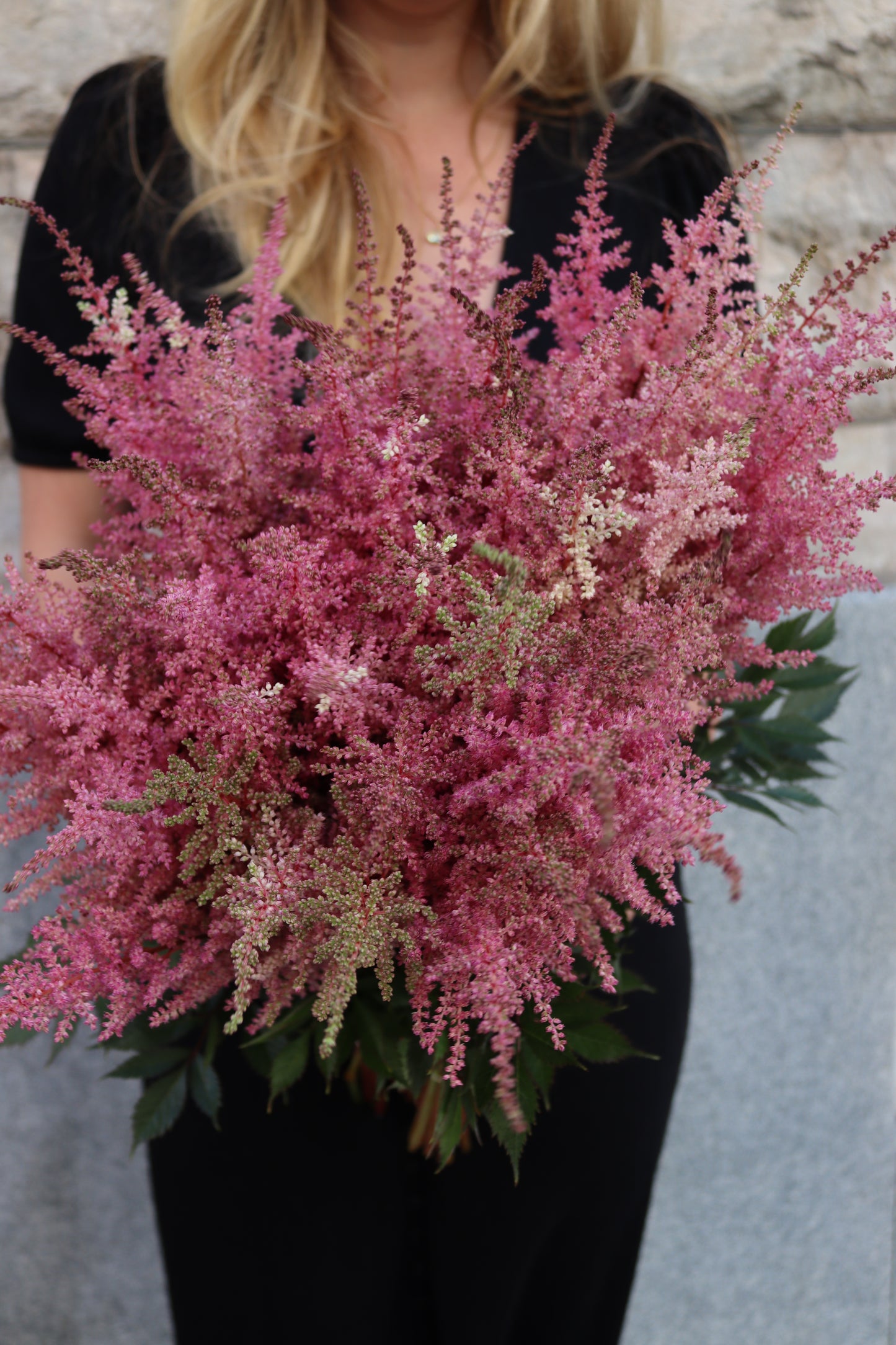 Astilbe