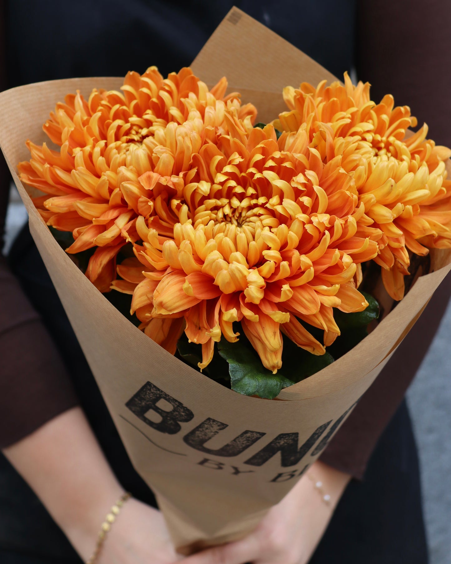 Bollkrysantemum