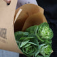 Brassica - Prydnadskål