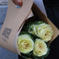 Brassica - Prydnadskål