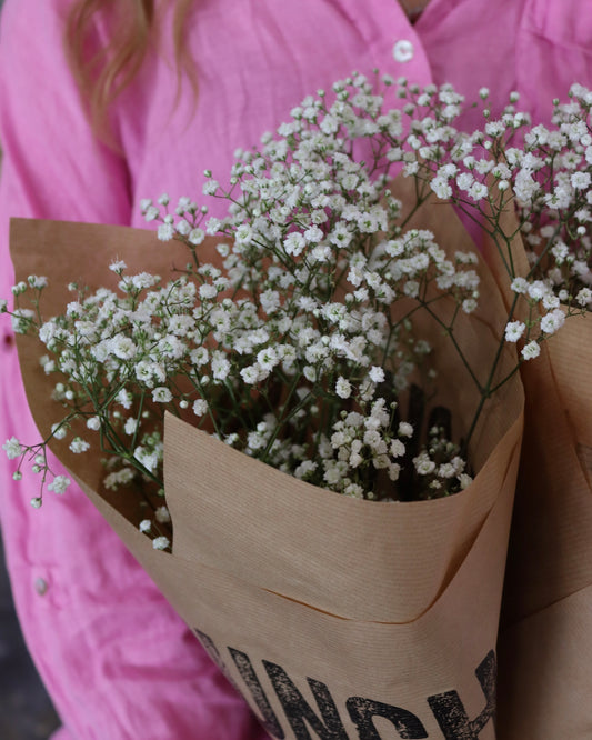 Brudslöja  - Gypsophila