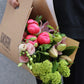 Bunchery´s Choice- rosa