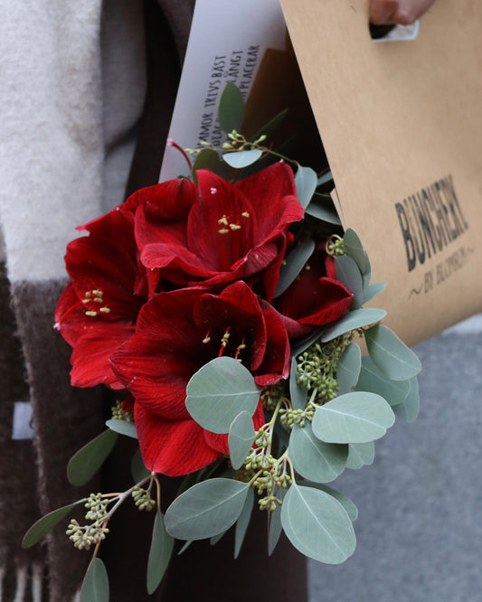 Buncherys Val -Röd Amaryllis & Grönt