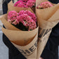 Celosia