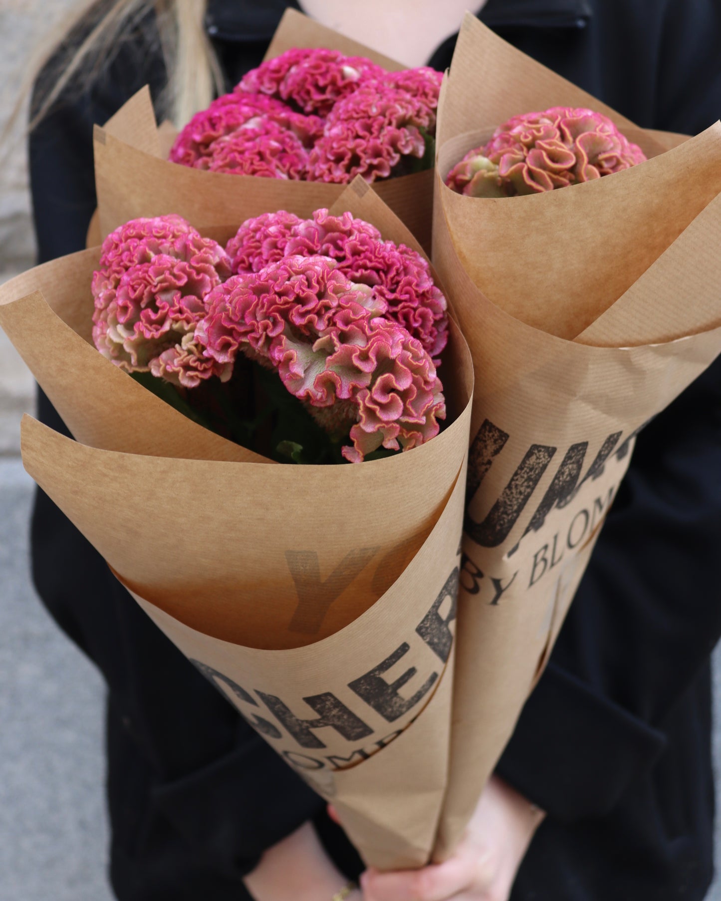 Celosia