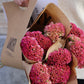 Celosia