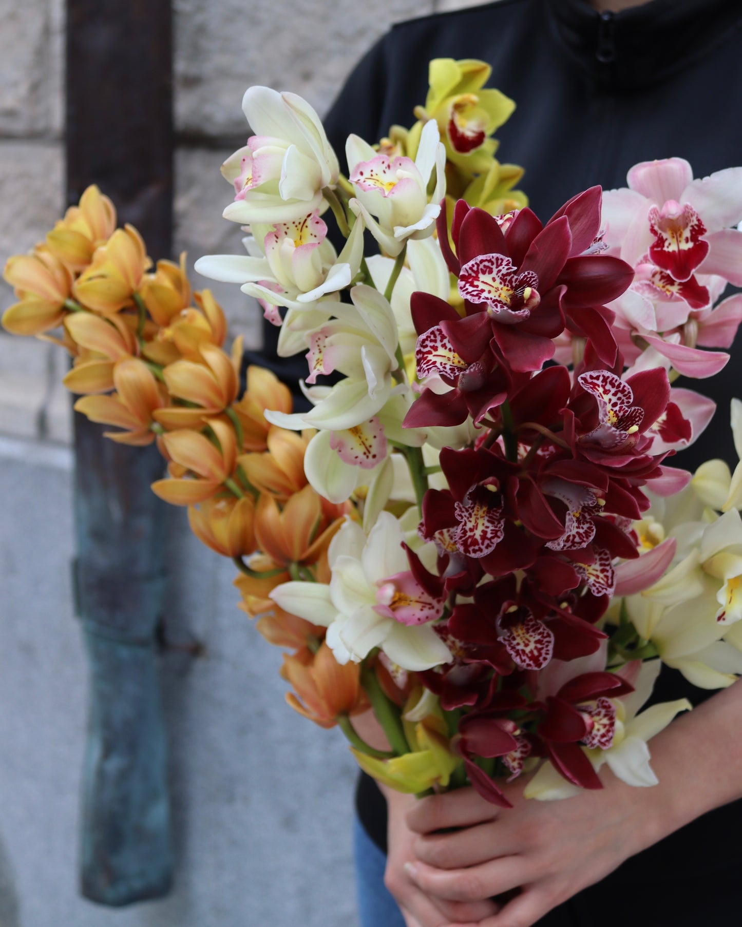 Cymbidium