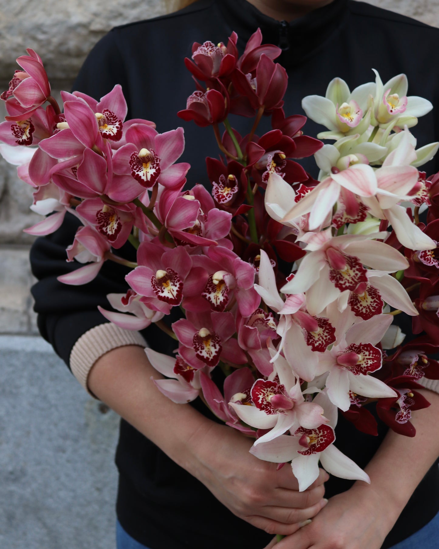 Cymbidium