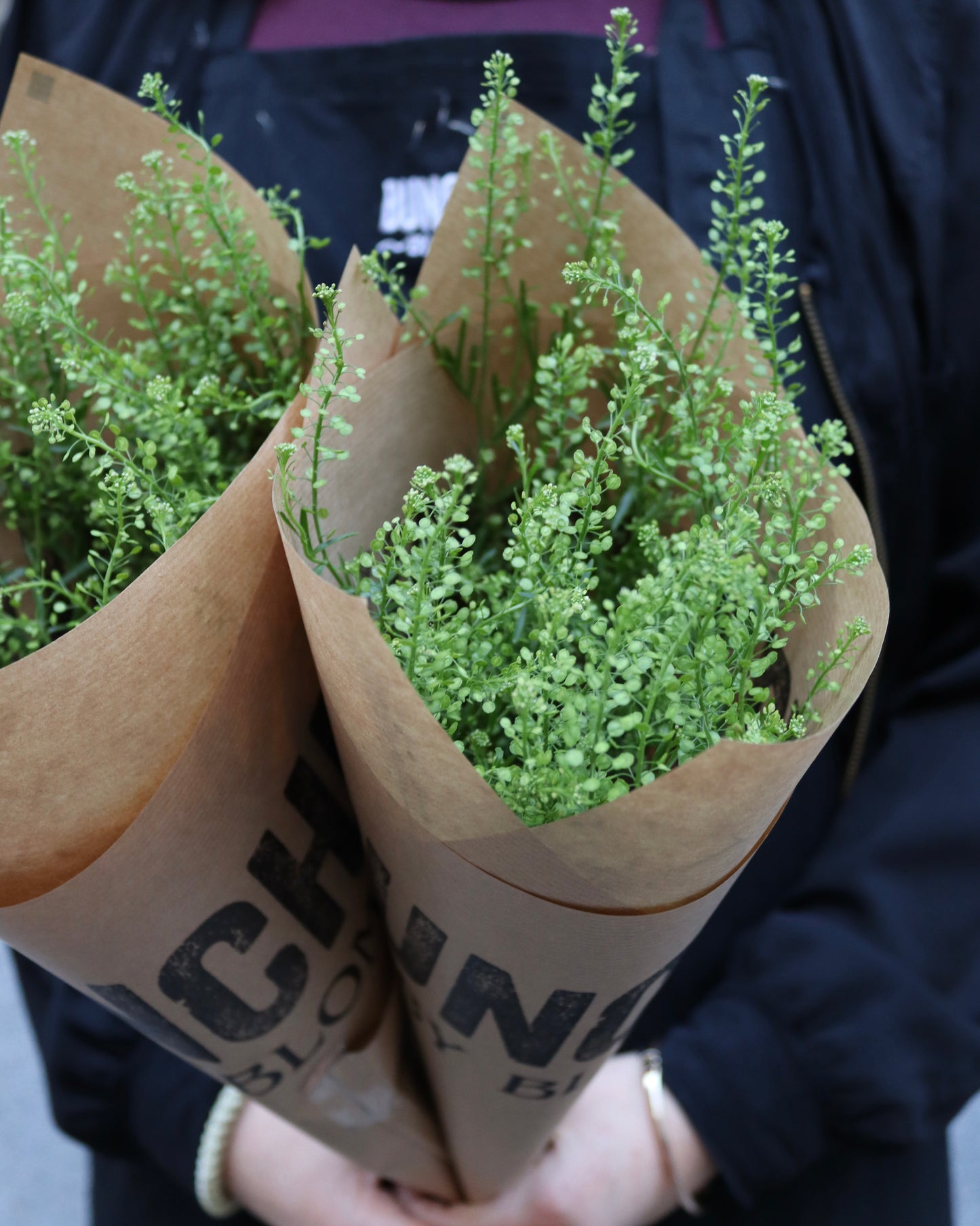 Green Bell - Thlaspi