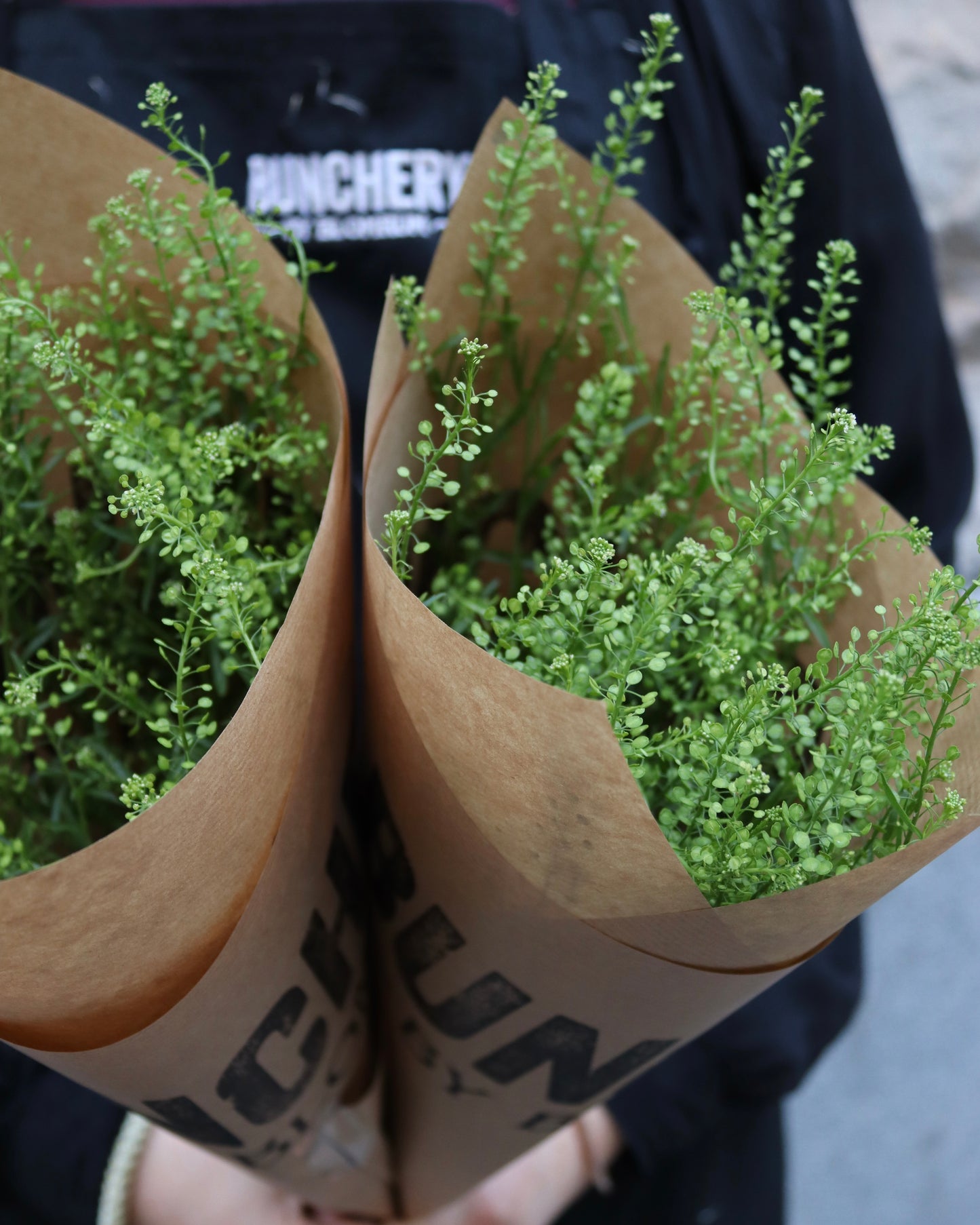 Green Bell - Thlaspi