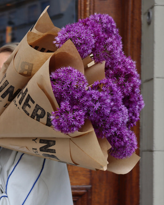 Allium