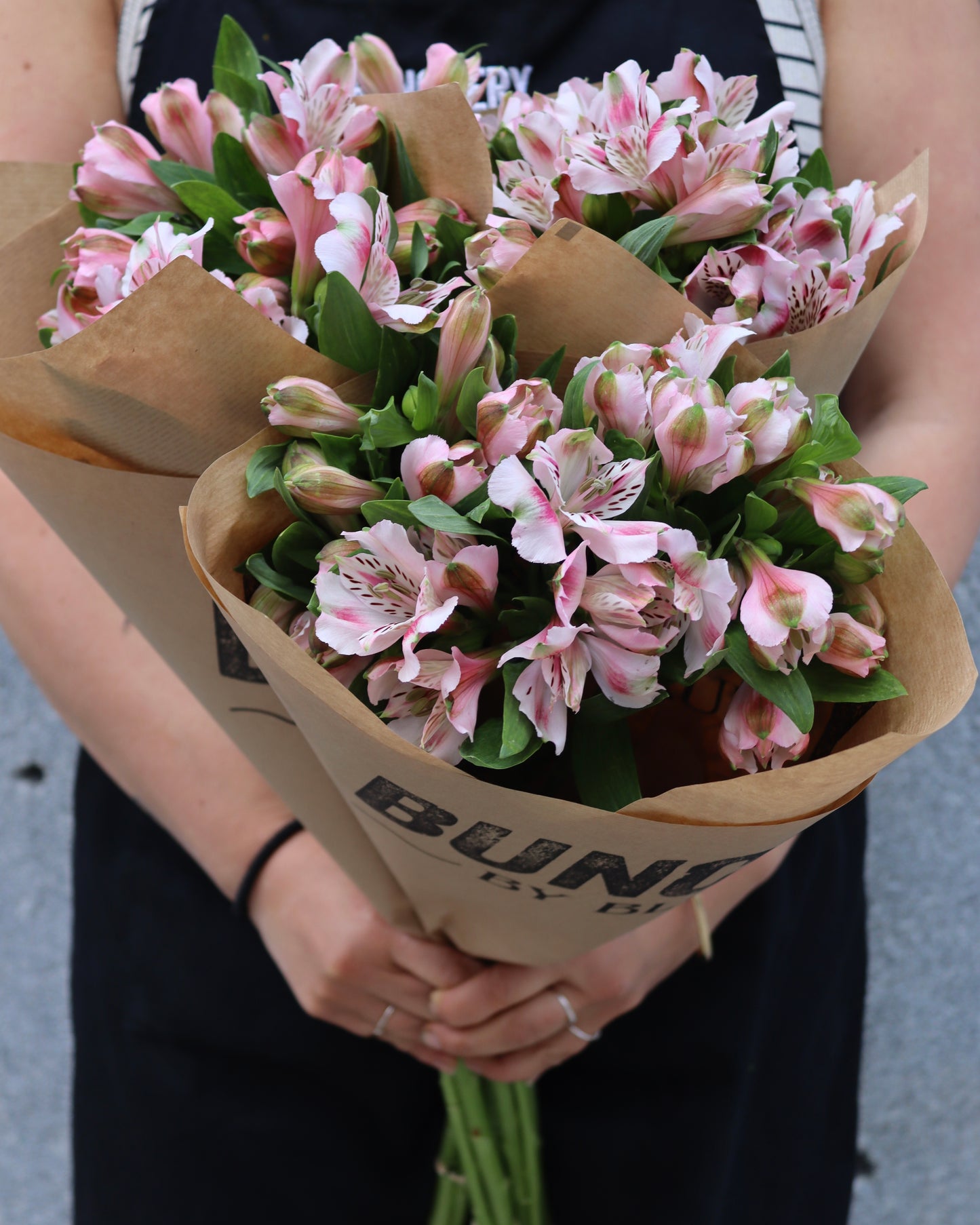 Alstromeria-Alstroemeria