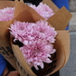 Bollkrysantemum
