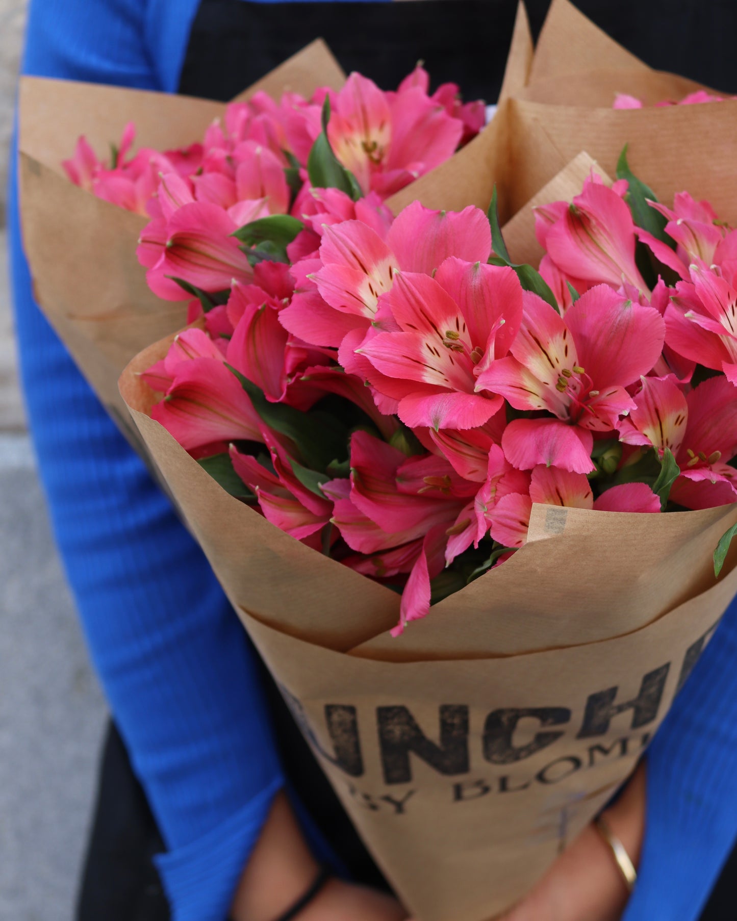 Alstromeria-Alstroemeria