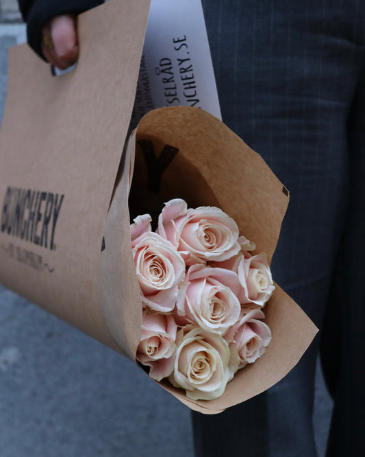 Pre-order Rosa rosor 7p