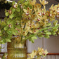 Cymbidium