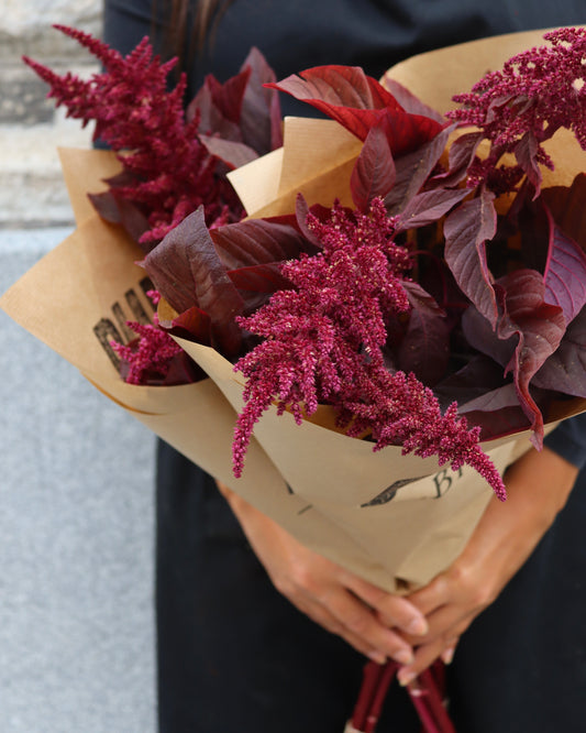 Amaranthus