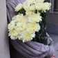 Nejlika - Dianthus